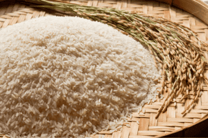 PR 11 rice
